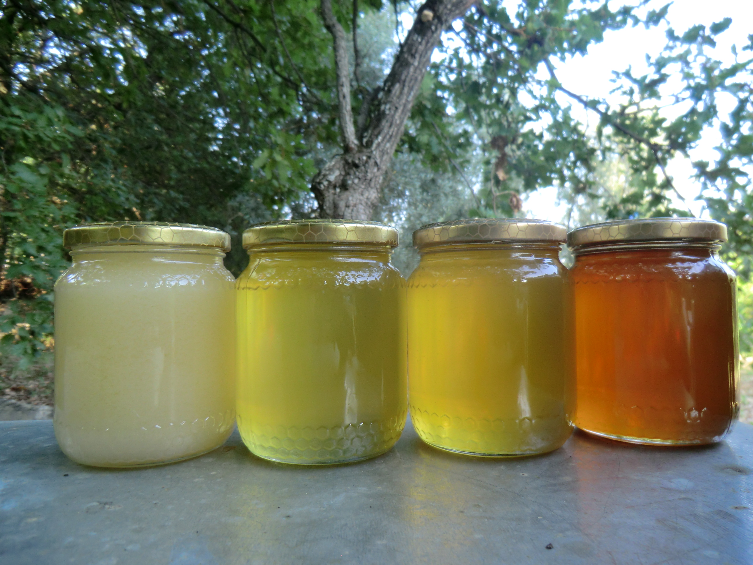 Florapi  vendita diretta miele e prodotti dei Monti Aurunci