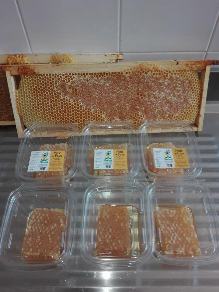 Florapi  vendita diretta miele e prodotti dei Monti Aurunci: Miele in Favo